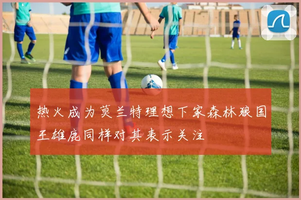 热火成为莫兰特理想下家森林狼国王雄鹿同样对其表示关注